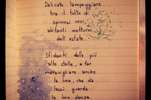 Haiku #11.06.2016