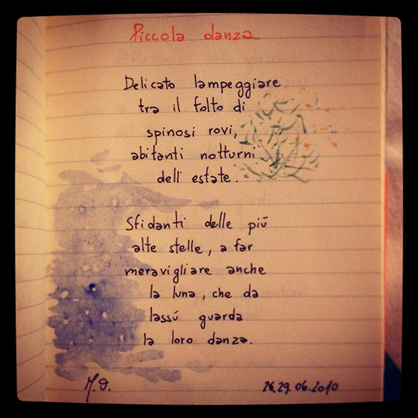 Haiku #11.06.2016