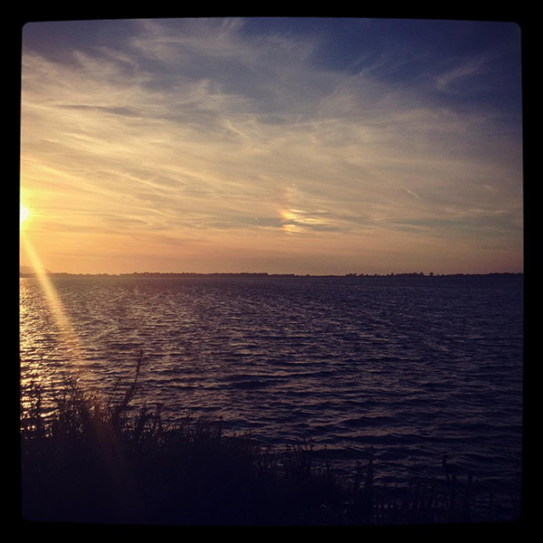Laguna velata