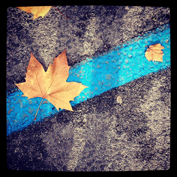 Haiku #14.11.2016