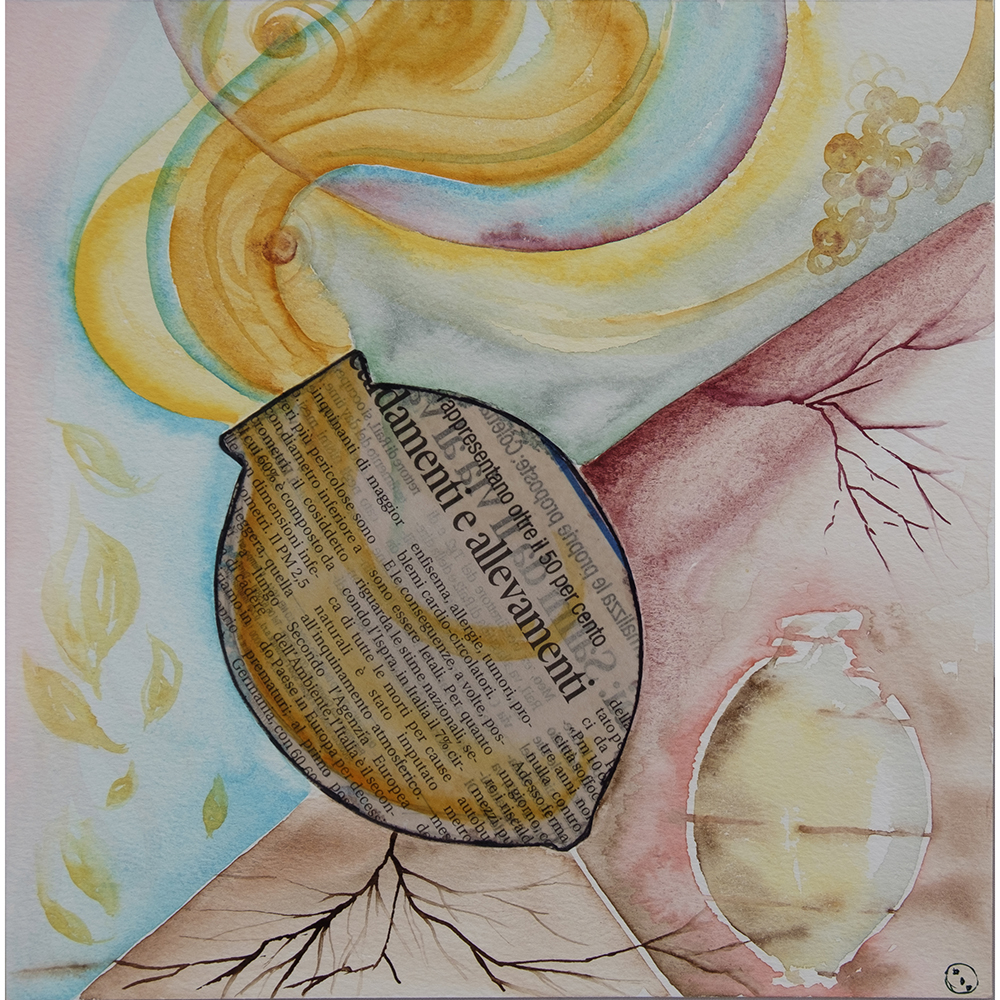 Antropica Wine 2|4 La vinificazione