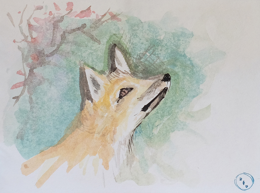 La volpe ed il pesco