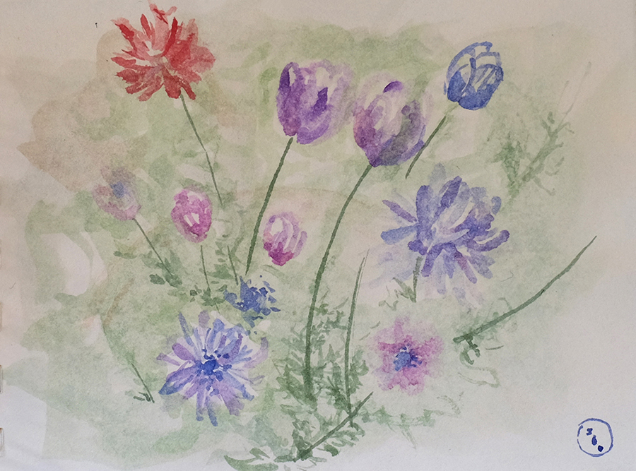 Anemoni, giardino ombroso