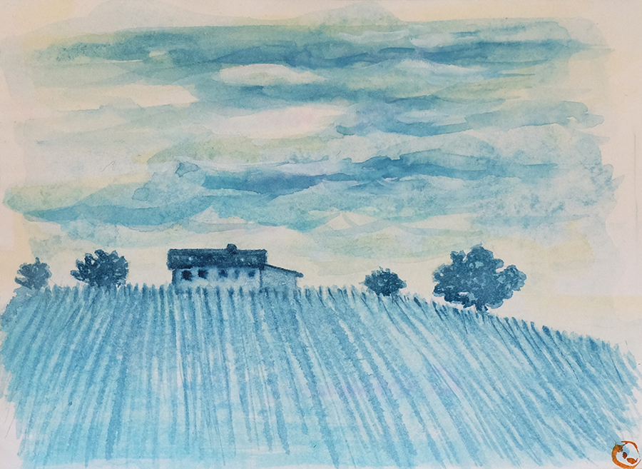 Vigneto in alta collina